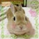 ニコ♪のブログ
