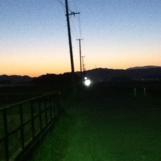 バギ