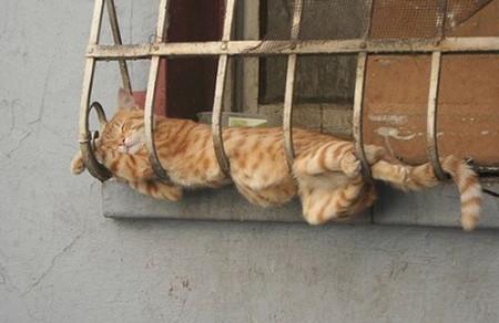 ちぃ
