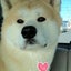 画像 秋田犬達とお気楽毎日のユーザープロフィール画像