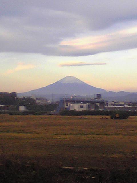 ユウ