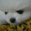 かずのサムネイル
