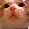そのちゃんのプロフィール