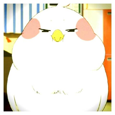 º+♡あこ♡+º