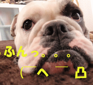 高知のNONちゃん