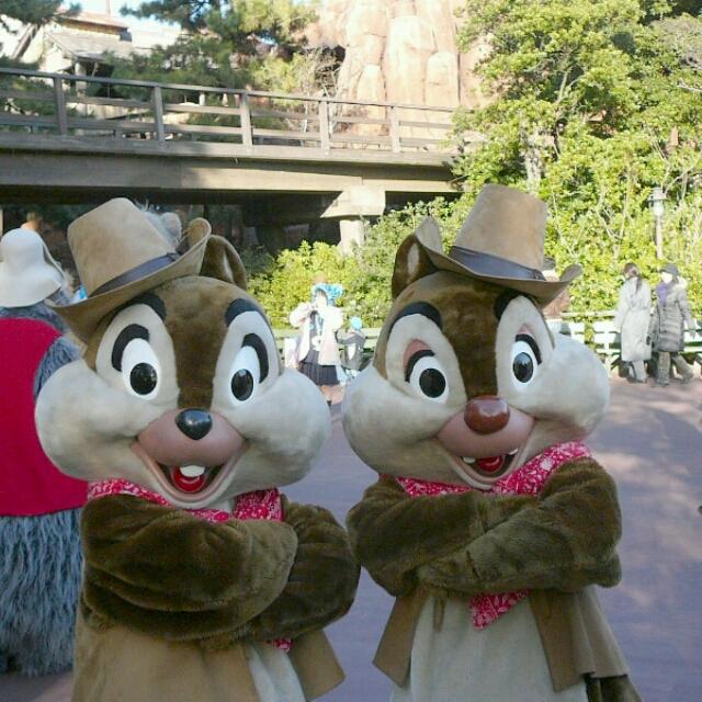 アカネ