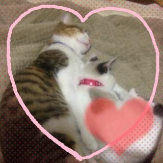 ちう