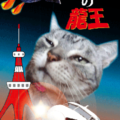 銀龍王のプロフィール