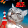銀猫の龍王『複雑な俺…』