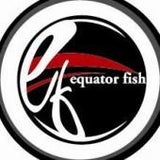 equator fish (イクェィターフィッシュ）