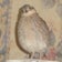 本館で書けない、裏話