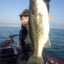 画像 シモタケの琵琶湖ガイド日記のユーザープロフィール画像