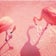 長崎・韓国子供服 flamingo(フラミンゴ)