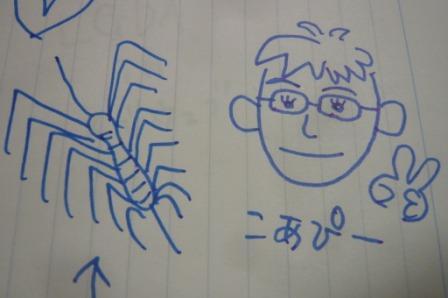 ｋｏａPー
