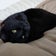 黒猫のブログ