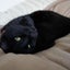 画像 黒猫のブログのユーザープロフィール画像