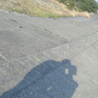 じゅね子