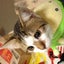 まっちゃのサムネイル
