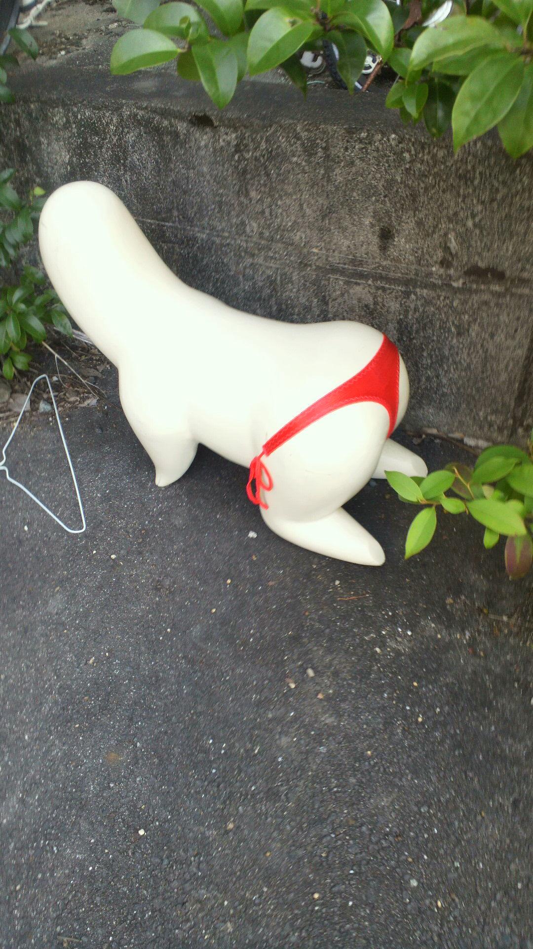 (*･o･*)