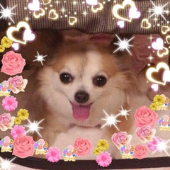 まりんのプロフィール