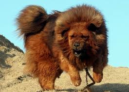 Zipperとパチパチズと、わたしの青春。（笑） | そうだ、ブログはじめ