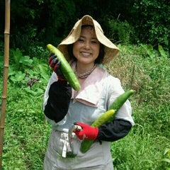 杉田かおるのプロフィール