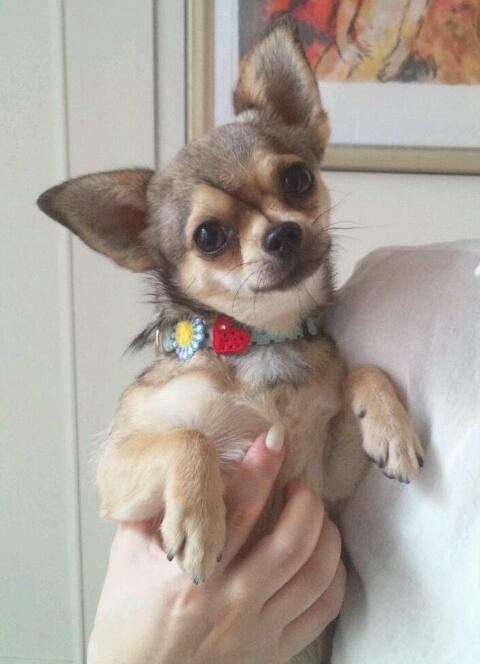 あこ