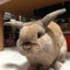 るびあんのサムネイル