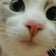 Aika's World