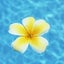coco-bananaのサムネイル