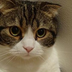 コロン3のプロフィール