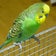 【☆ﾟ+.みなこの毎日.+ﾟ☆】