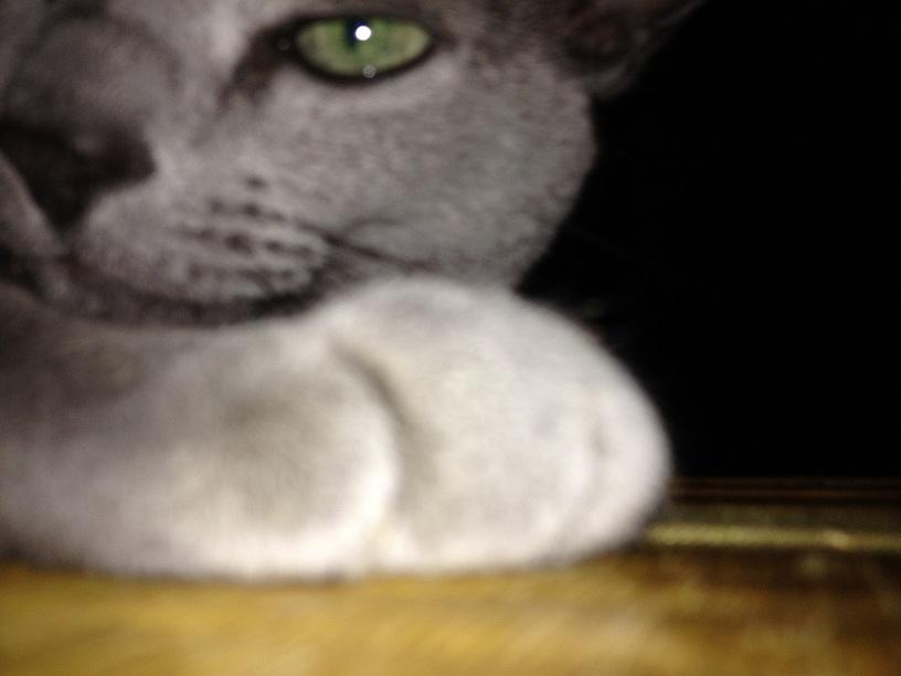 つるpon
