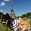 画像 チョコとノワ・・・愛犬チワワと一緒に！のユーザープロフィール画像