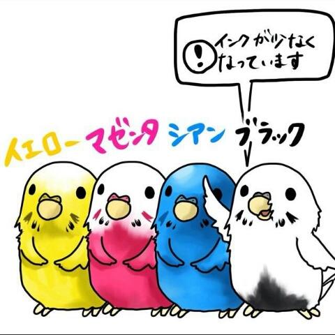 紫苑