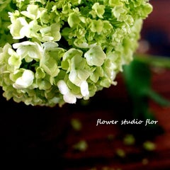 花家flor 花家flor