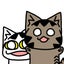 画像 チビタマのブログ　～ネコの4コママンガ～のユーザープロフィール画像