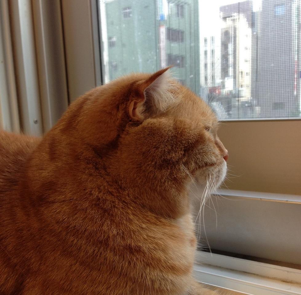 よん。
