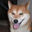 画像 柴犬・秋田犬（癲癇持ち）＆猫のドタバタ生活と糖尿病Ⅰ型日記のユーザープロフィール画像
