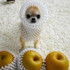 震災の時のvipの反応 修正 ぼうはていてとらのブログ 震災の時のvipの反応 修正 ぼうはていてとらのブログ