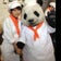 絶対諦めないWe are!!のブログ