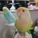 ぴーさく日和