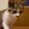 ゆぅのプロフィール