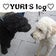♡ﾟ･｡♥｡Yuri's Log♡ﾟ･｡♥｡