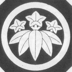 スターティング オーヴァー読了 r sasamaru 日常と趣味 ときどき沖縄 スターティング オーヴァー読了 r sasamaru 日常と趣味 ときどき沖縄