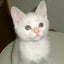 aikoiのサムネイル