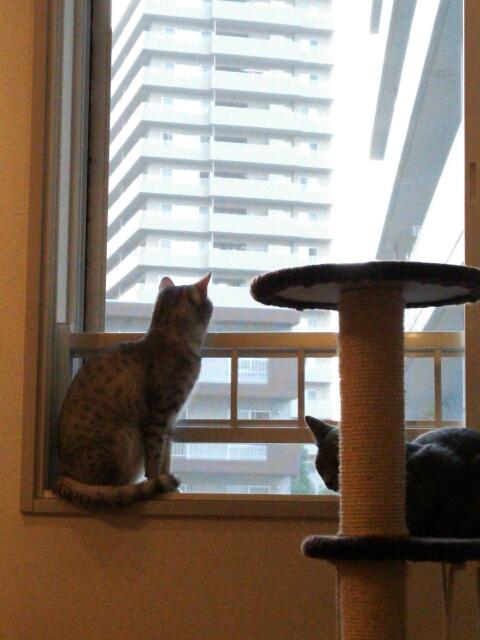 そら。