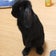 TESSYのうさぎブログ