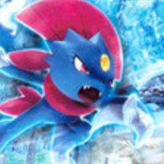 ファイアローについて 考察 育成論 Izu ポケモンxy