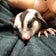 しゅなちくの“生き物大好き❤な人を増やして応援する”ﾌﾞﾛｸﾞ